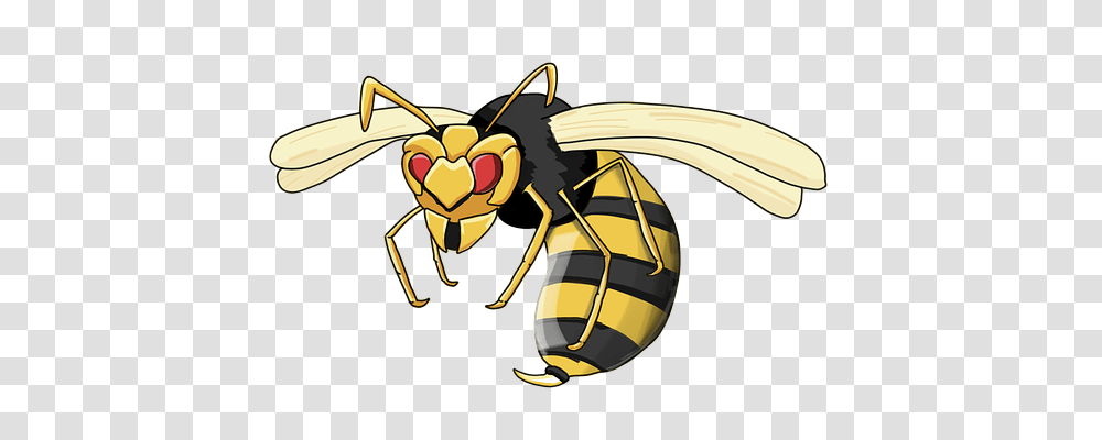 Wasp Animals, Bee, Insect, Invertebrate Transparent Png