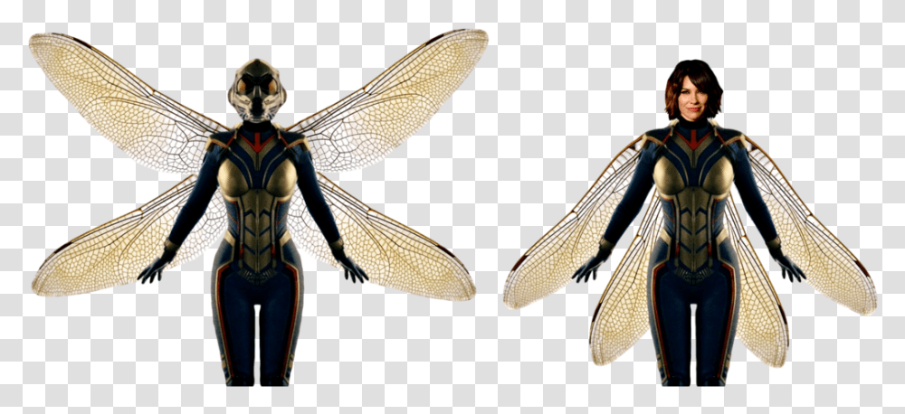 Wasp Ant Man And The Wasp, Insect, Invertebrate, Animal, Dragonfly Transparent Png