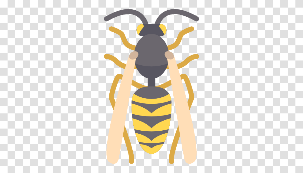 Wasp, Bee, Insect, Invertebrate, Animal Transparent Png