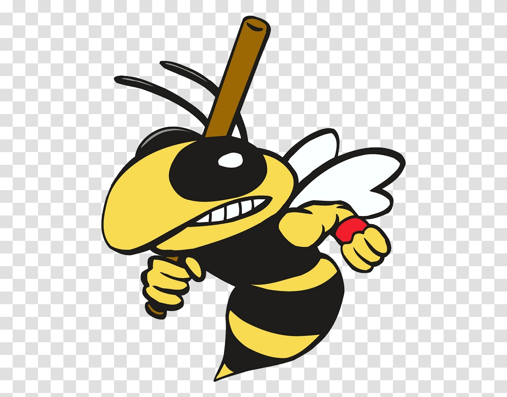 Wasp Bee With Baseball Bat, Insect, Invertebrate, Animal, Hornet Transparent Png