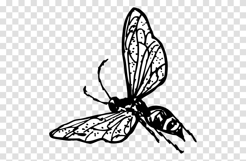 Wasp Clip Art, Bee, Insect, Invertebrate, Animal Transparent Png