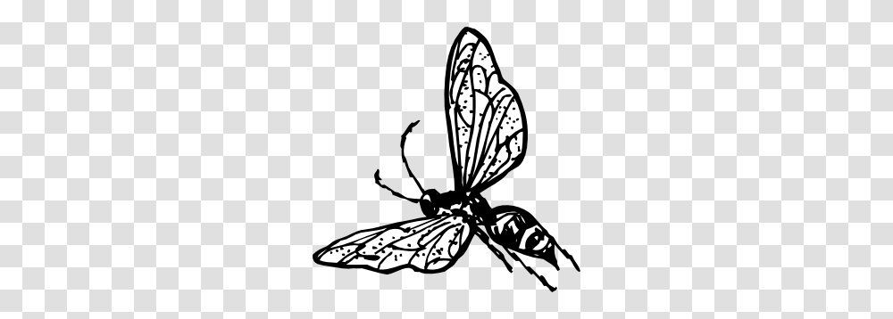 Wasp Clip Art, Bee, Insect, Invertebrate, Animal Transparent Png