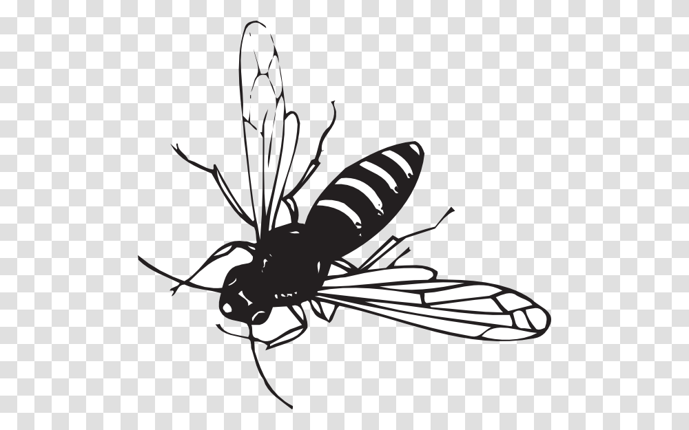 Wasp Clipart Black And White Striped Fly Like Insect, Bee, Invertebrate, Animal, Hornet Transparent Png