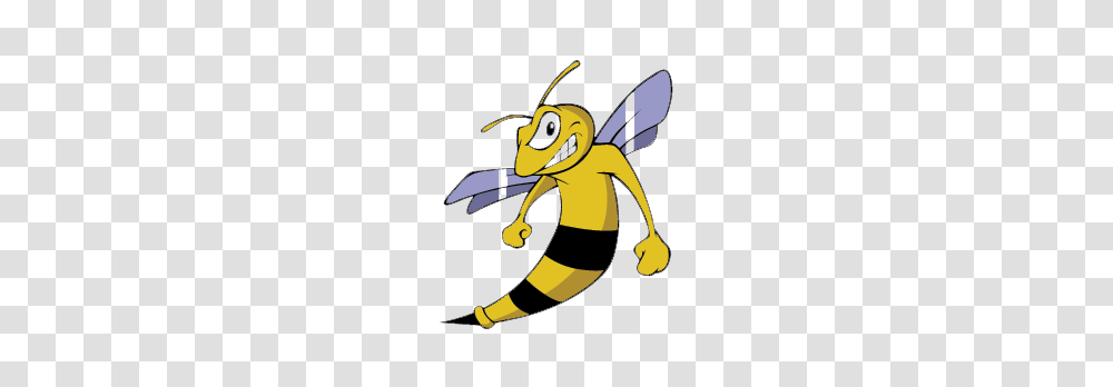 Wasp Clipart, Honey Bee, Insect, Invertebrate, Animal Transparent Png