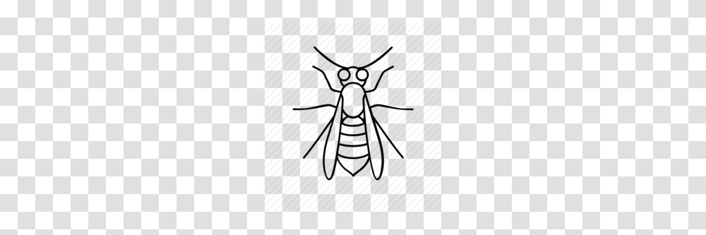 Wasp Clipart, Spider, Invertebrate, Animal, Insect Transparent Png