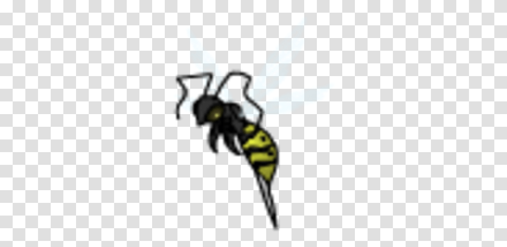 Wasp Hornet, Bee, Insect, Invertebrate, Animal Transparent Png