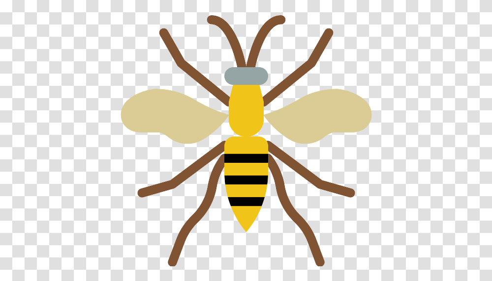 Wasp Icon Honeybee, Insect, Invertebrate, Animal, Andrena Transparent Png