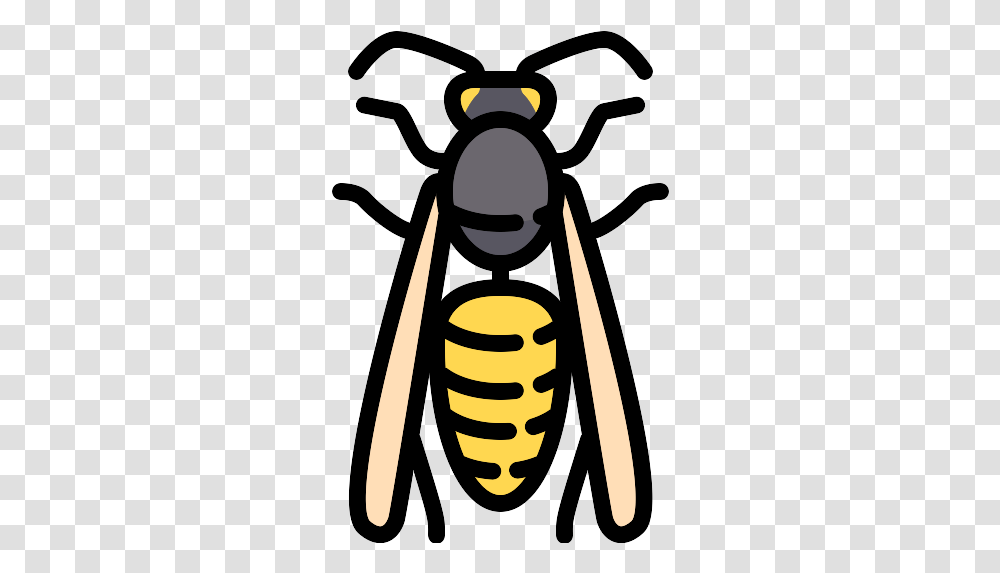 Wasp Icon Wasp, Bee, Insect, Invertebrate, Animal Transparent Png