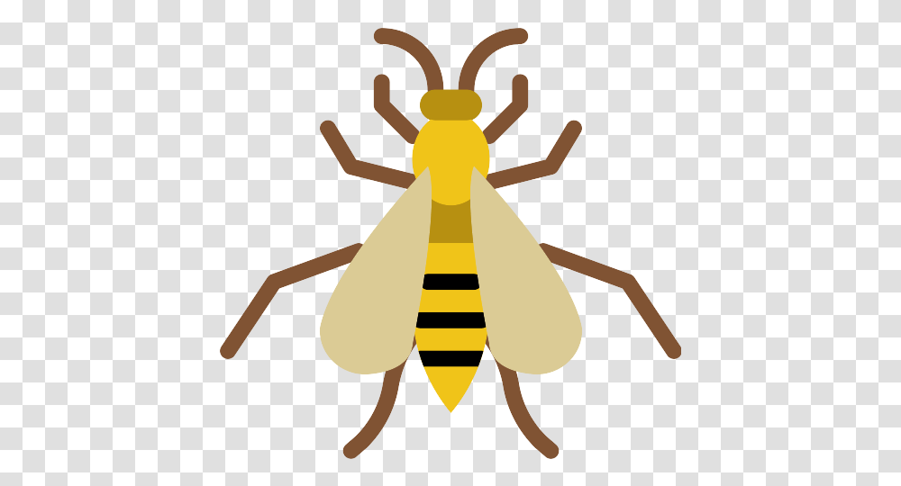 Wasp Icons And Graphics Honeybee, Insect, Invertebrate, Animal, Termite Transparent Png