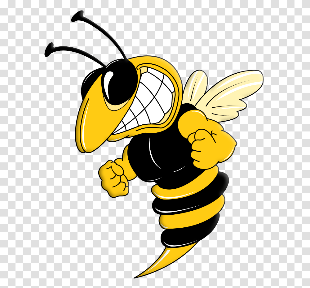 Wasp, Insect, Honey Bee, Invertebrate, Animal Transparent Png