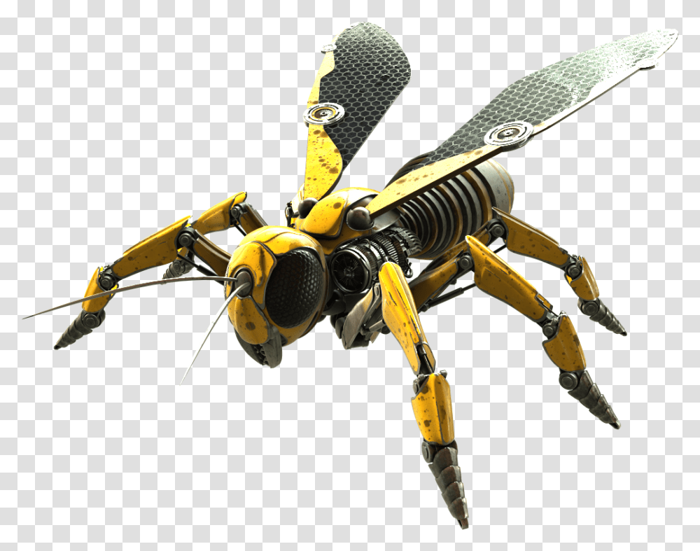 Wasp Photo Wasp, Bee, Insect, Invertebrate, Animal Transparent Png