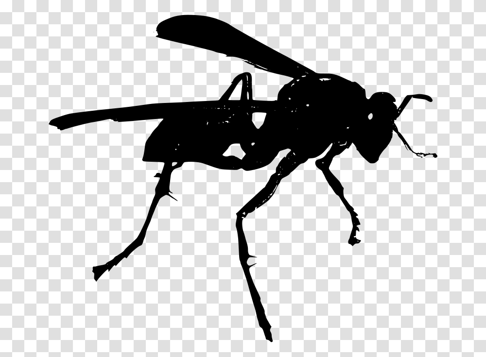 Wasp Po, Animals, Gray, World Of Warcraft Transparent Png