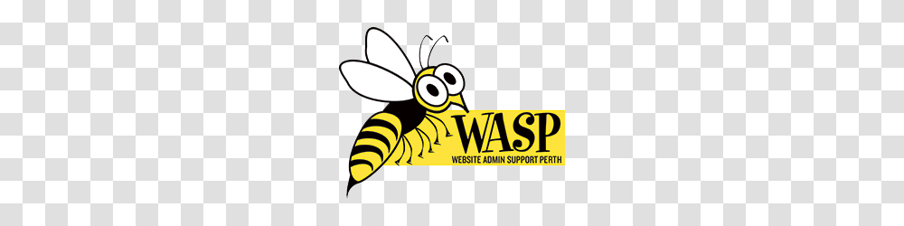 Wasp Website Admin Support Perth, Bee, Insect, Invertebrate, Animal Transparent Png