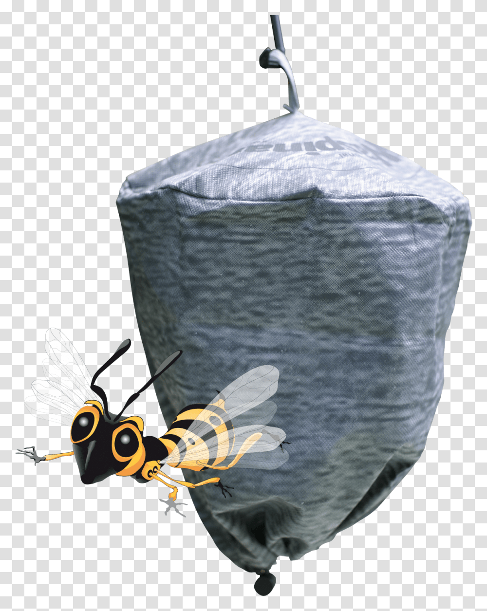 Waspinator Bag, Plant, X-Ray, Ct Scan, Medical Imaging X-Ray Film Transparent Png