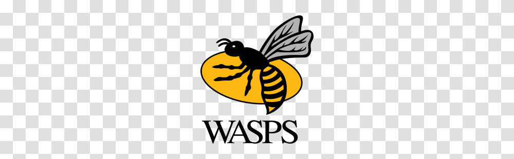 Wasps Rfc, Bee, Insect, Invertebrate, Animal Transparent Png