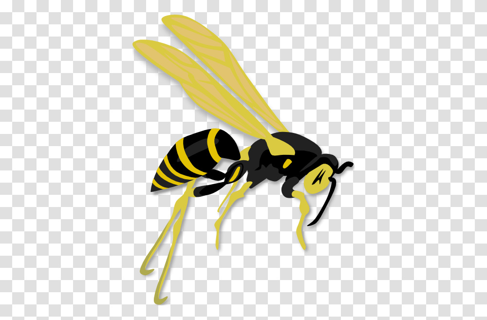 Wasps Unbugme Pest Control, Bee, Insect, Invertebrate, Animal Transparent Png