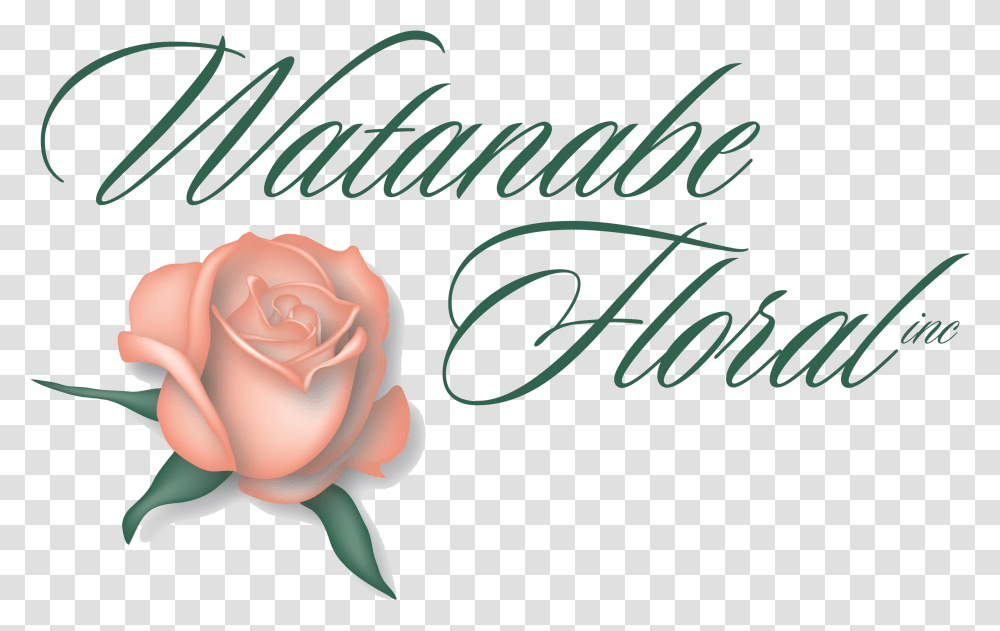 Watanabe Floral Flower Delivery Voted Hawaii's Best Florist Watanabe Floral, Rose, Plant, Blossom, Text Transparent Png