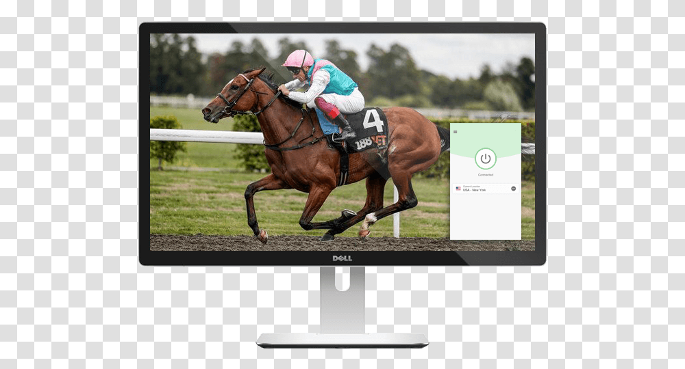 Watch Horse Racing Live On Any Device With Expressvpn Enable Racehorse, Mammal, Animal, Person, Human Transparent Png