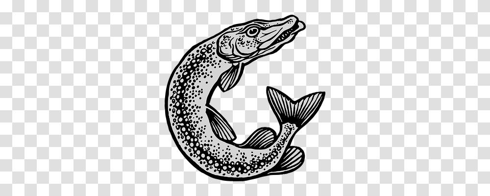 Water Animals, Fish, Trout, Eel Transparent Png