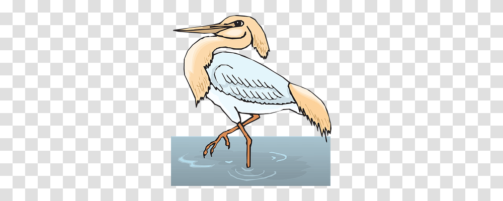 Water Animals, Pelican, Bird, Crane Bird Transparent Png