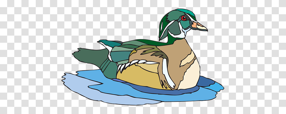 Water Animals, Bird, Duck, Dodo Transparent Png