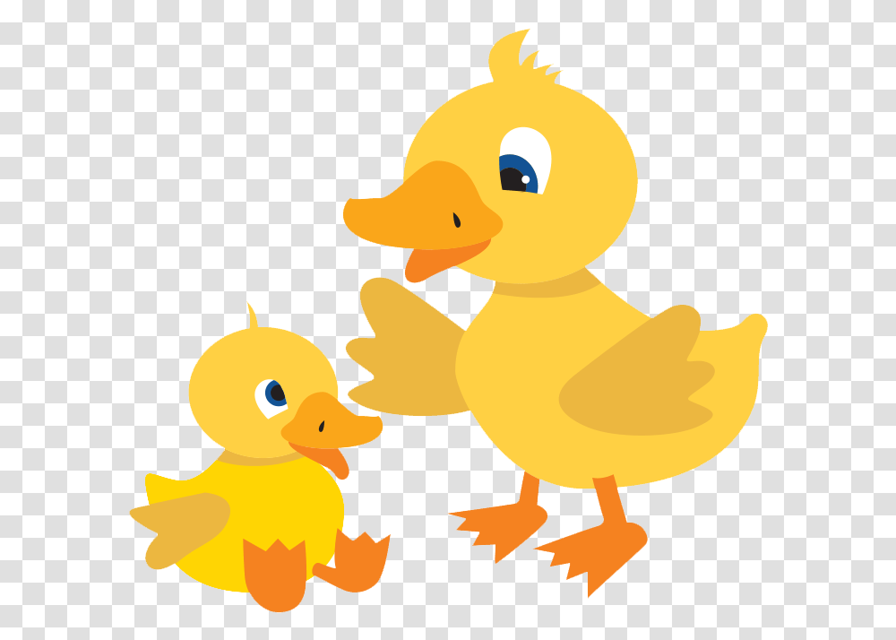 Water Baby Puddle Ducks Swim Academy Cartoon Duck, Animal, Bird, Fowl, Poultry Transparent Png