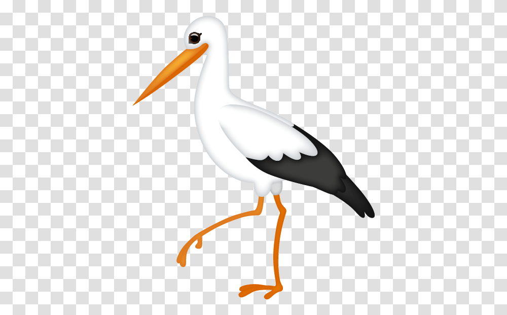 Water Bird, Beak, Animal, Pelican, Stork Transparent Png