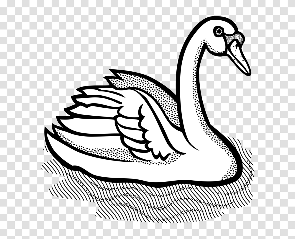Water Bird Computer Icons Drawing Encapsulated Postscript Free, Animal, Goose, Swan, Waterfowl Transparent Png