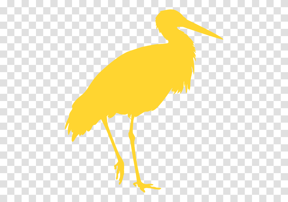Water Bird, Crane Bird, Animal, Waterfowl, Stork Transparent Png