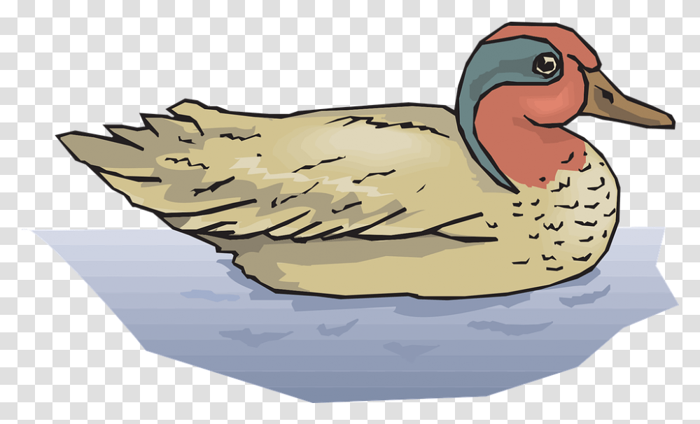 Water Bird Duck Duck In Water Clip Art, Animal, Goose, Beak, Anseriformes Transparent Png