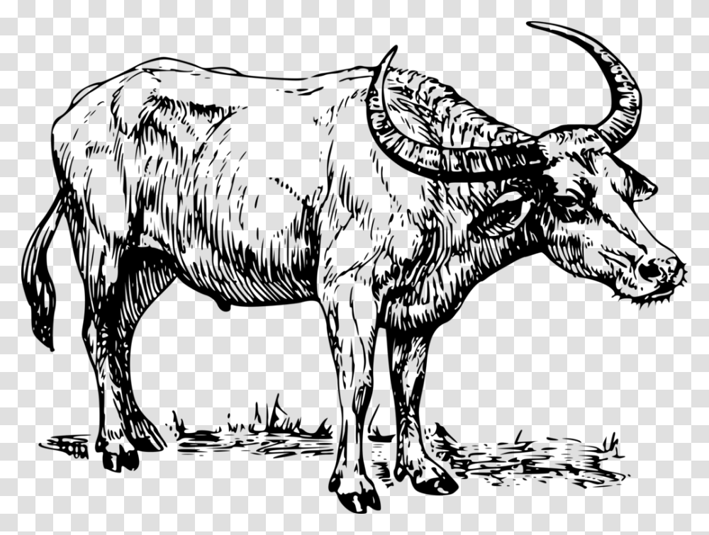 Water Buffalo Cape Water Buffalo Clipart Black And White, Gray, World Of Warcraft Transparent Png