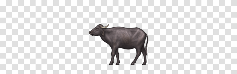 Water Buffalo Emoji For Facebook Email Sms Id, Bull, Mammal, Animal, Cattle Transparent Png