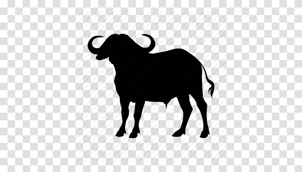 Water Buffalo, Piano, Leisure Activities, Musical Instrument, Horse Transparent Png