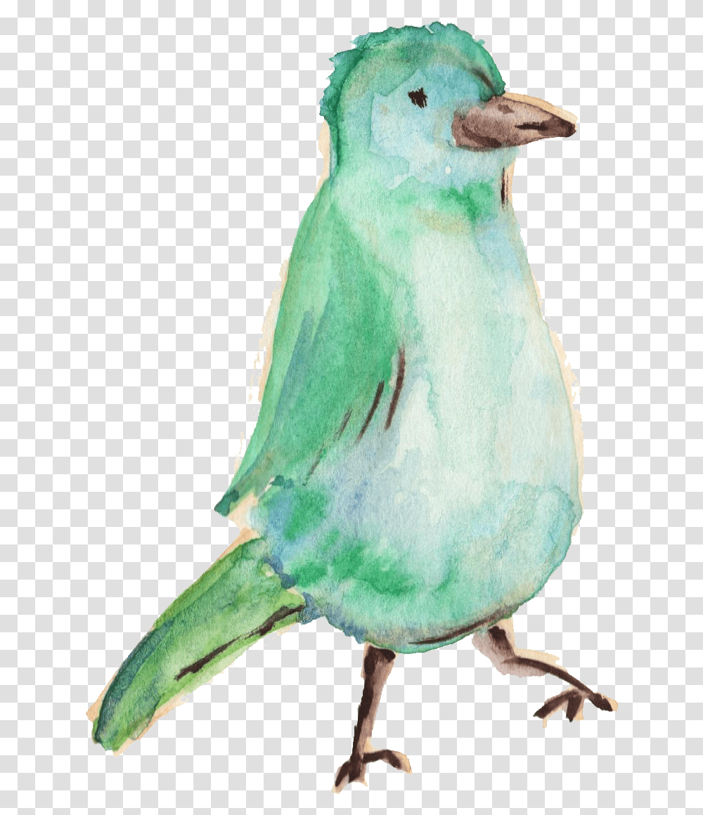 Water Color Bird Bird Color Water, Animal, Parrot, Figurine Transparent Png