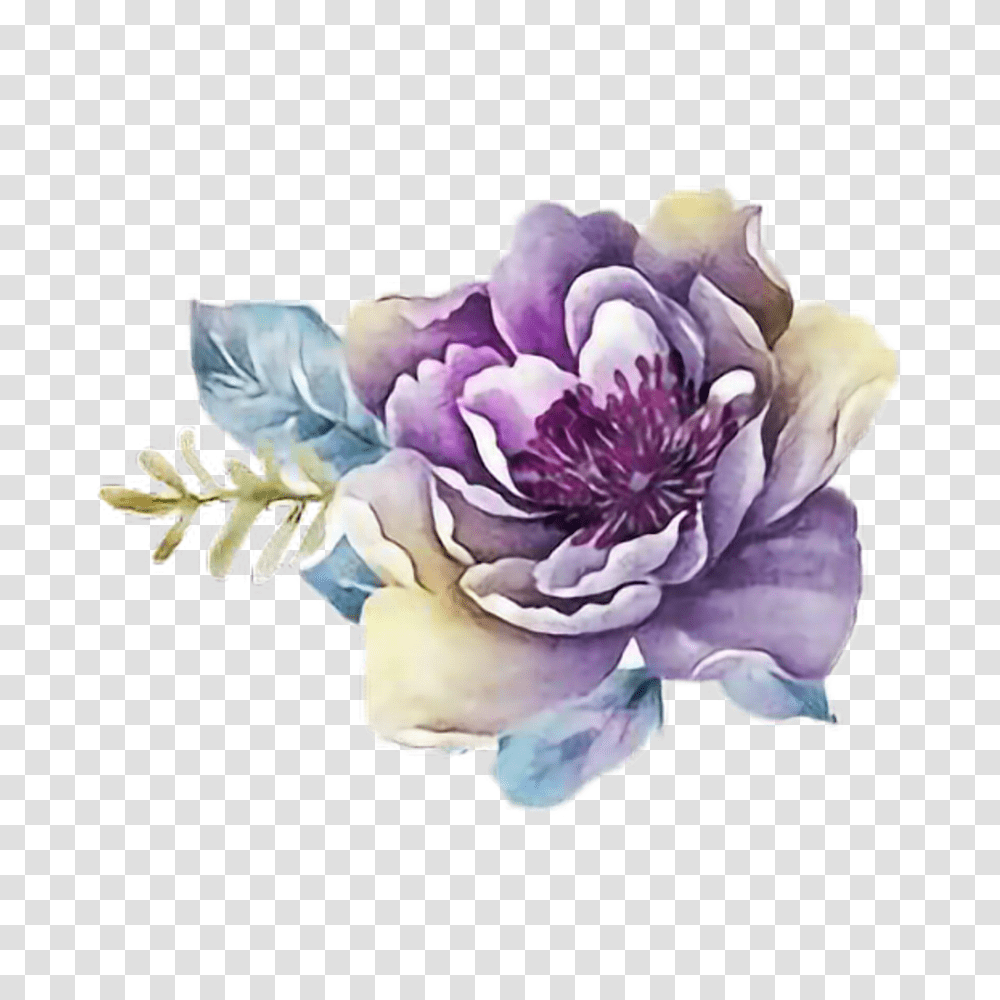 Water Color Flowers Purple Watercolor Flower, Rose, Plant, Dahlia, Floral Design Transparent Png