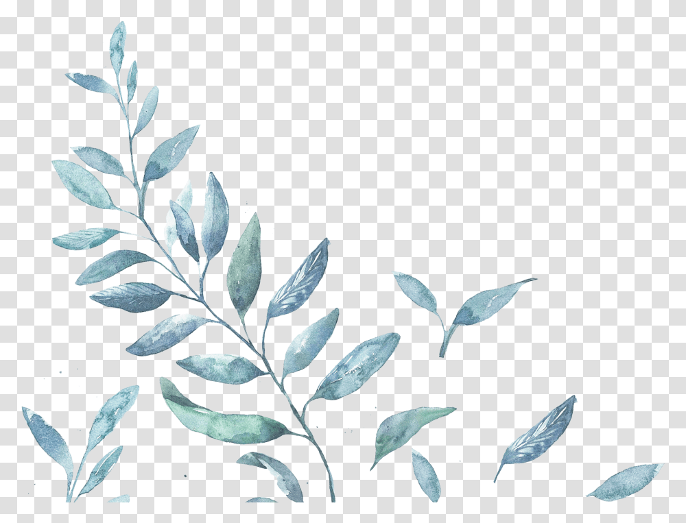 Water Color Leaves Twig, Plant, Flower, Blossom, Leaf Transparent Png