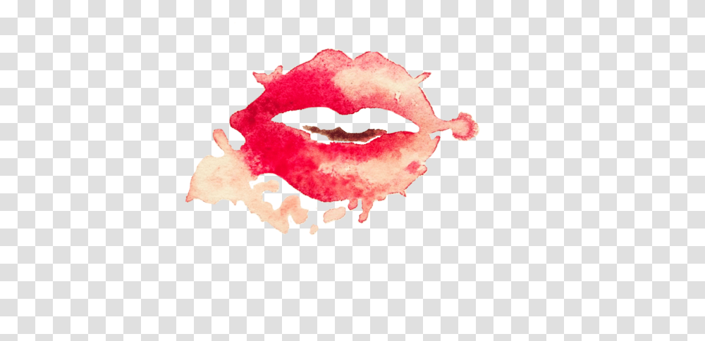 Water Color Lips Picture 538293 Illustration, Mouth, Rose, Flower, Plant Transparent Png