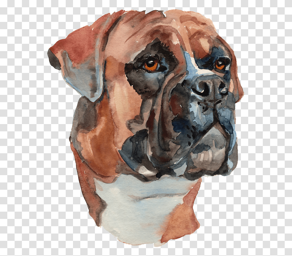 Water Color Painted Dog Dog Water Painting, Head, Modern Art, Face Transparent Png
