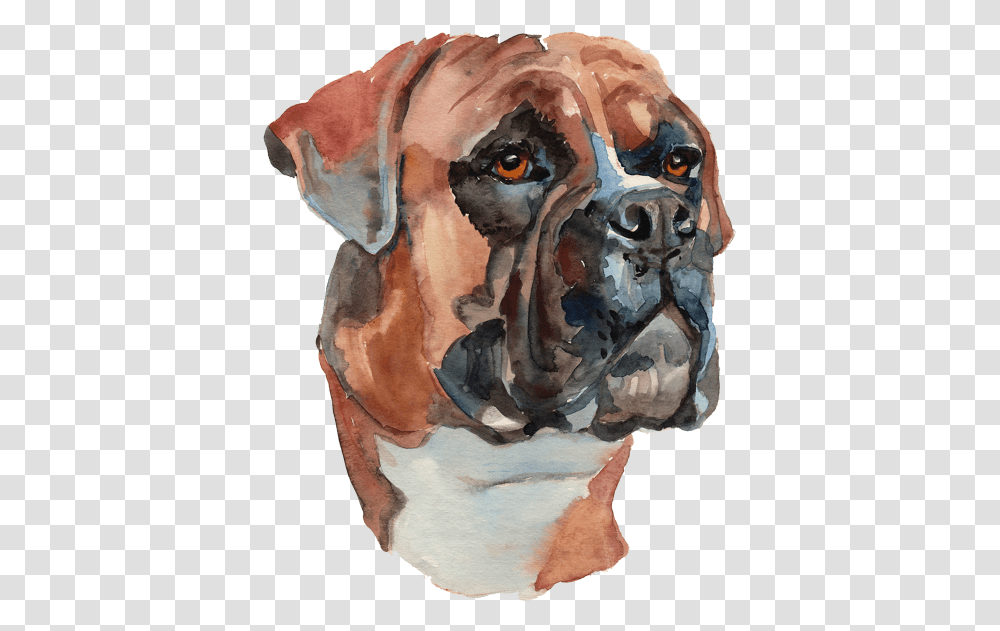 Water Color Painted Dog Hand Painted Boxer Dog, Head, Painting, Face Transparent Png