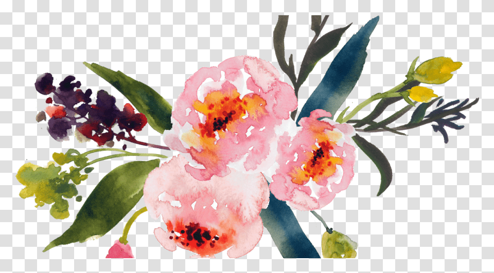 Water Colour Flower 18 Watercolor Floral Backgrounds, Plant, Blossom, Pollen, Peony Transparent Png