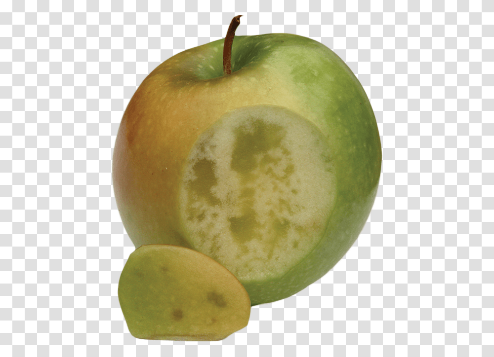 Water Core In Apple, Plant, Fruit, Food Transparent Png