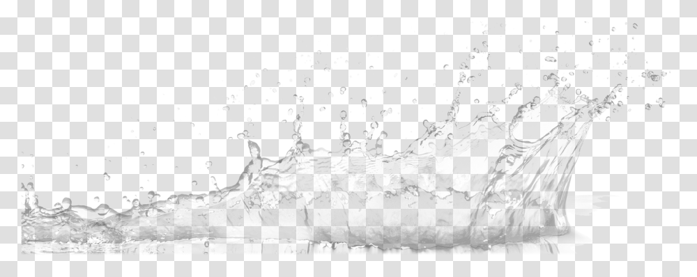 Water Dot, Droplet, Soil, Beverage, Plant Transparent Png