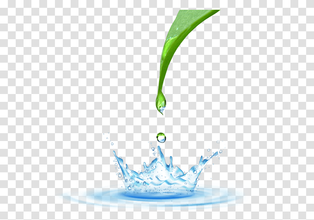 Water Drop Water Amp Drop, Droplet, Outdoors, Plant, Leaf Transparent Png
