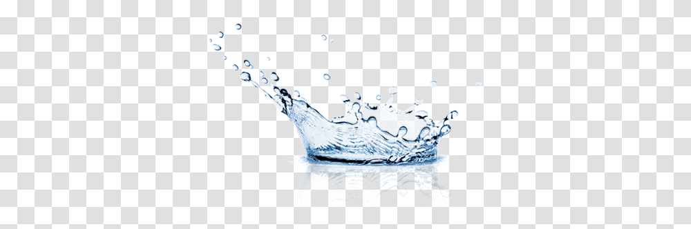 Water Drops Background Stickpng Splash Water Image, Droplet, Plant, Outdoors Transparent Png