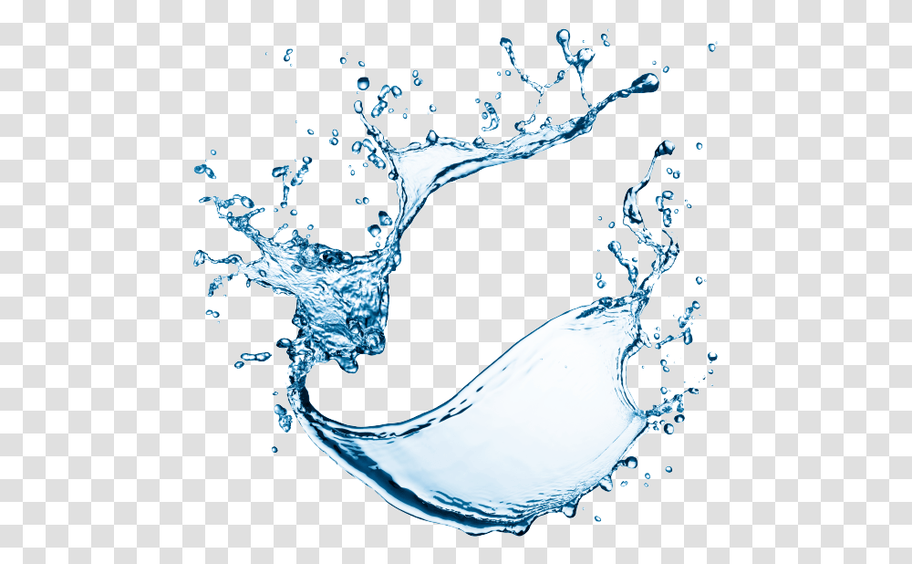 Water Drops Icon Free Hq Clipart Water Drops, Droplet, Bird, Animal, Hip Transparent Png
