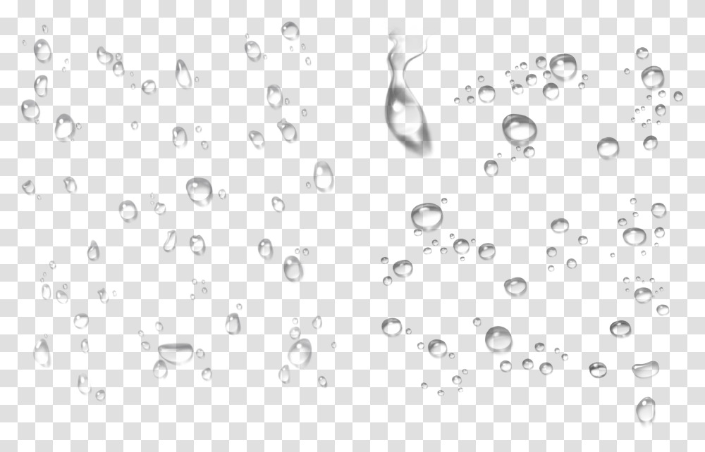Water Drops Image Background Water Drops, Droplet, Bubble, Plant, Rug Transparent Png
