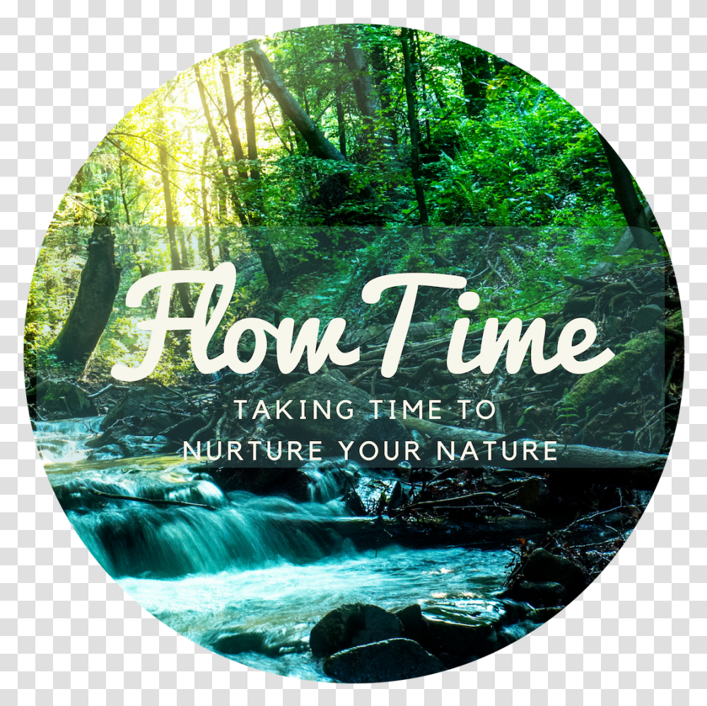 Water Flow Download Label, Outdoors, Vegetation, Plant, Land Transparent Png