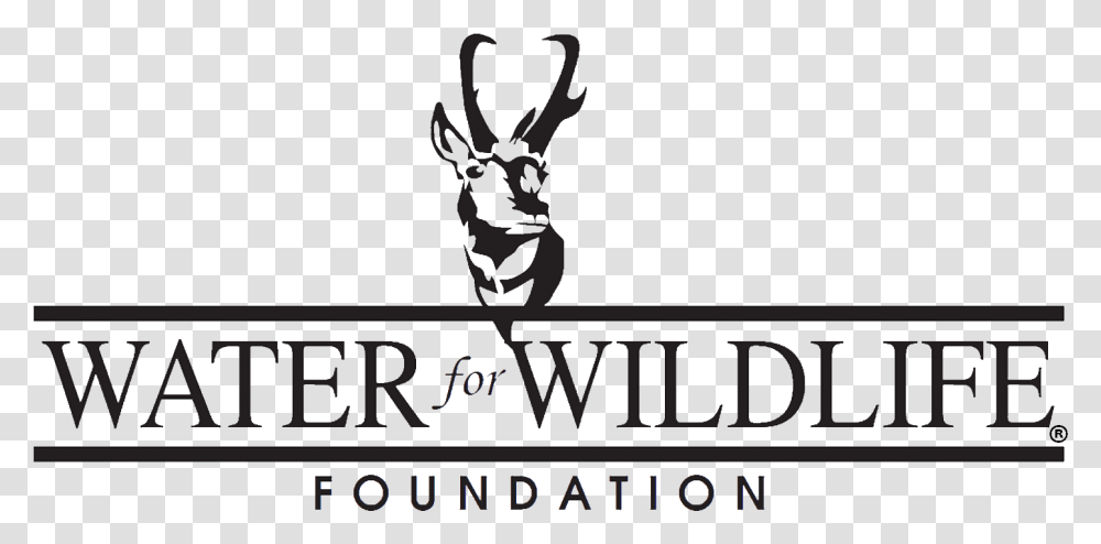 Water For Wildlife Foundation, Alphabet, Logo Transparent Png