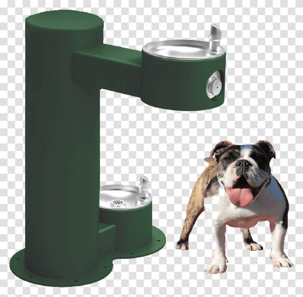 Water Fountain Drink Cool Dual Basin Drinking Water Fountain Outdoor, Drinking Fountain, Dog, Pet, Canine Transparent Png