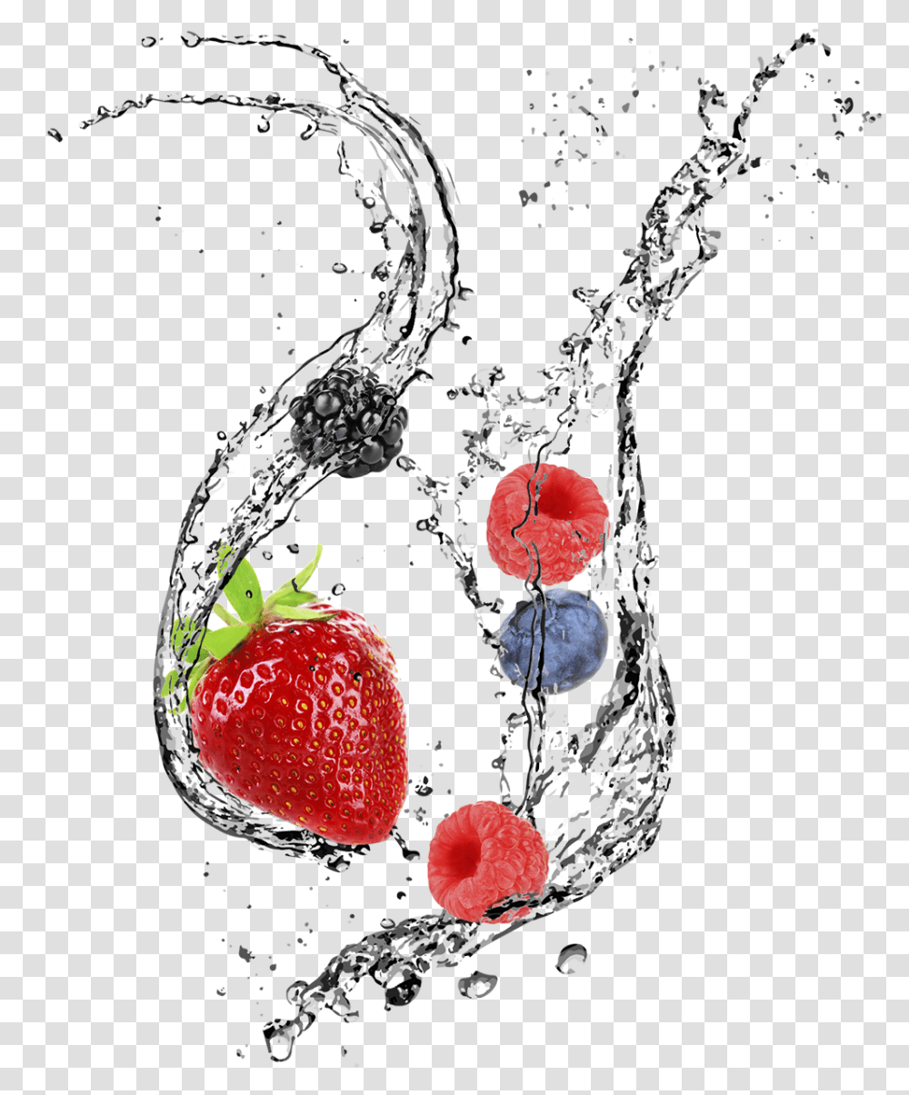Water Fruit Splash, Strawberry, Plant, Food, Blueberry Transparent Png